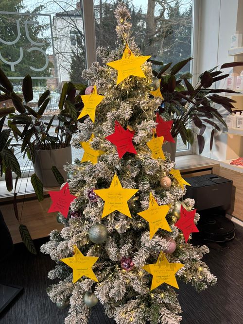 Weihnachtsbaum_Wunschsterne